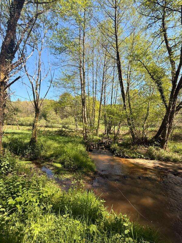 MAGNIFIQUE Moulin de Peurousseau 142m², 4 chambres sur terrain de 4663m² 149 000 € - photo 69