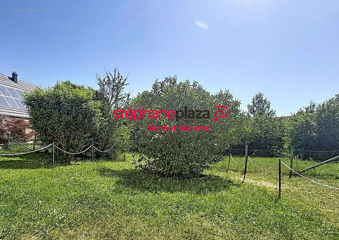 Appartement à MARMOUTIER