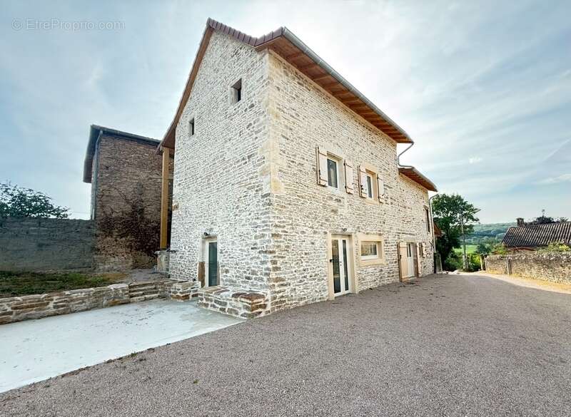Maison à SAINT-MAURICE-DE-SATONNAY
