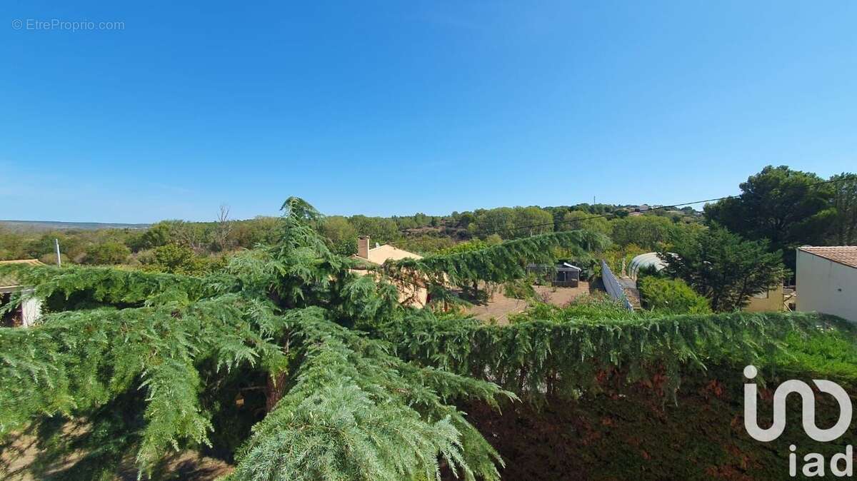 Photo 3 - Maison à SAINT-ANDRE-DE-ROQUELONGUE