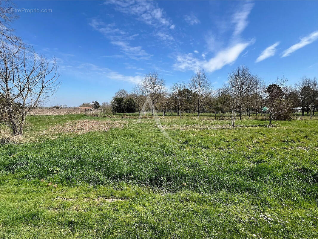 Terrain à VRIGNY