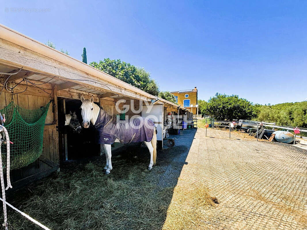 Entre mer et nature, une propriété rare dominant la Méditerranée - photo 17