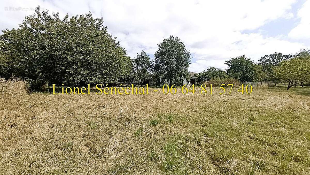 Maison à BEAUMONT-SUR-SARTHE