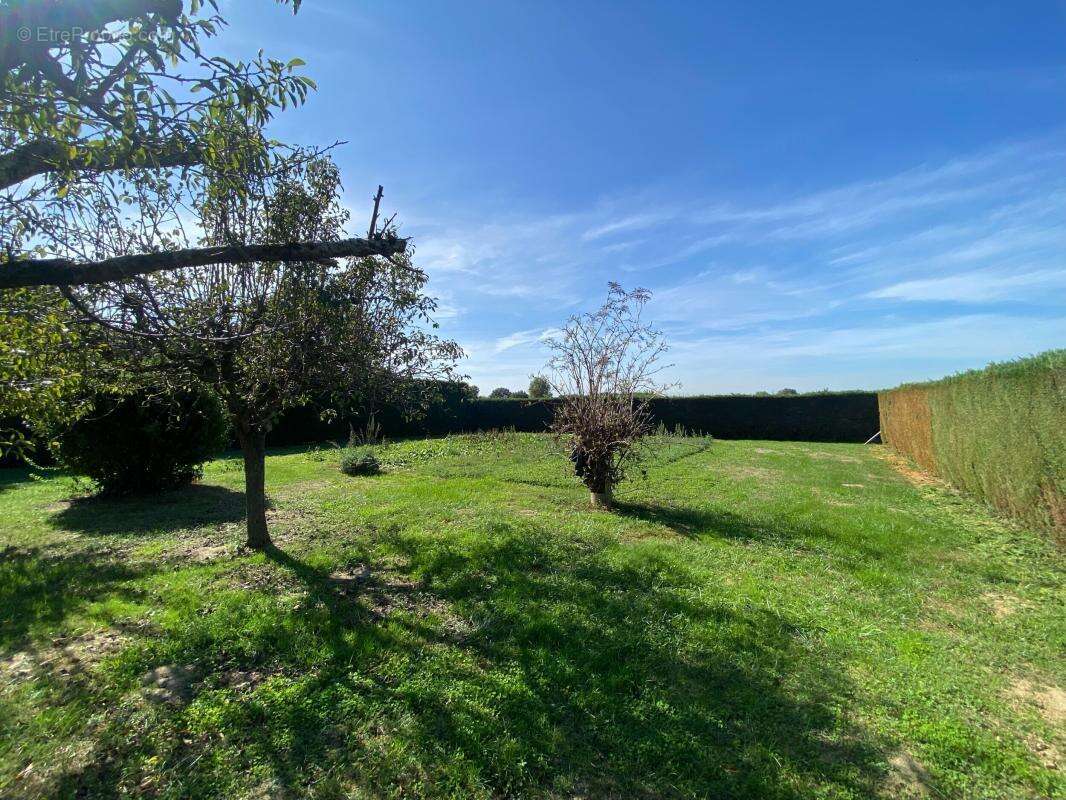 Terrain à GRATENTOUR