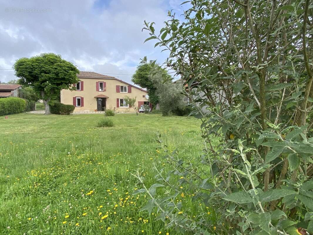 Maison à BALESTA