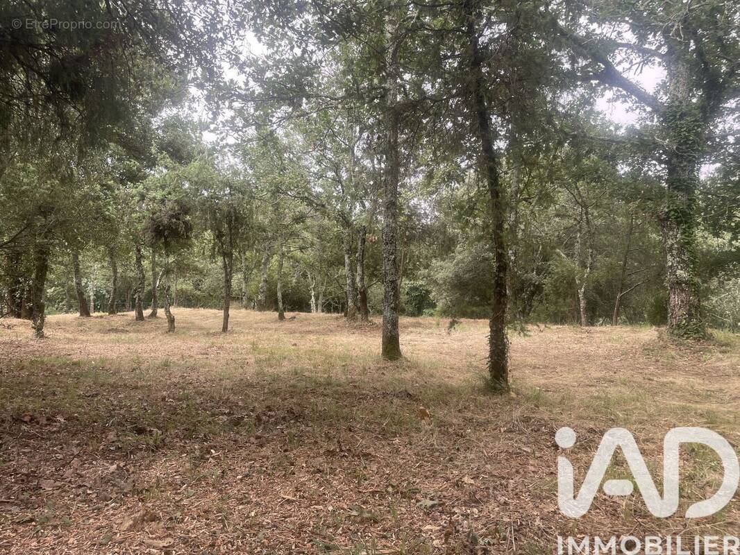 Photo 1 - Terrain à LAGORCE