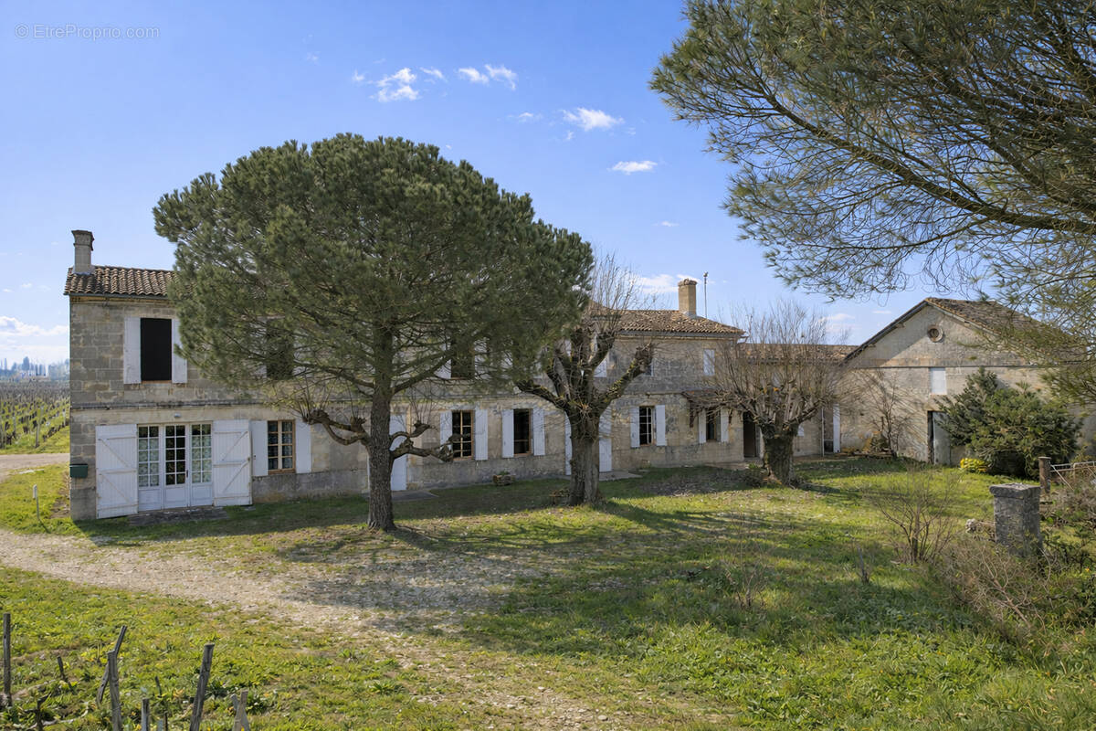 Terrain à SAINT-EMILION