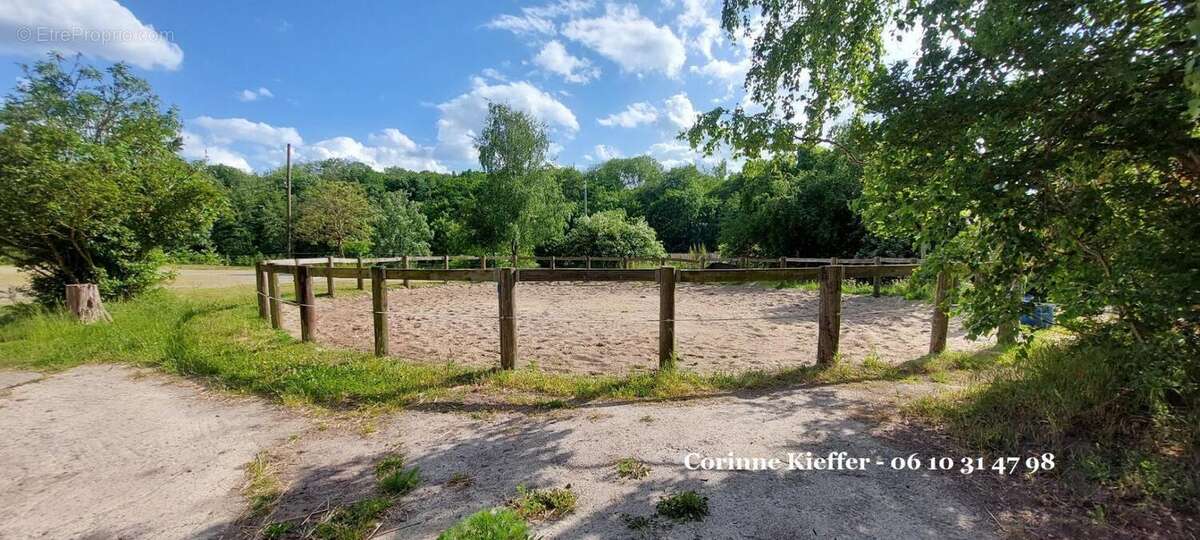 Maison à BETHEMONT-LA-FORET