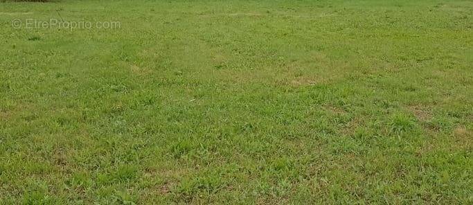 Terrain à SAINT-PERE-EN-RETZ