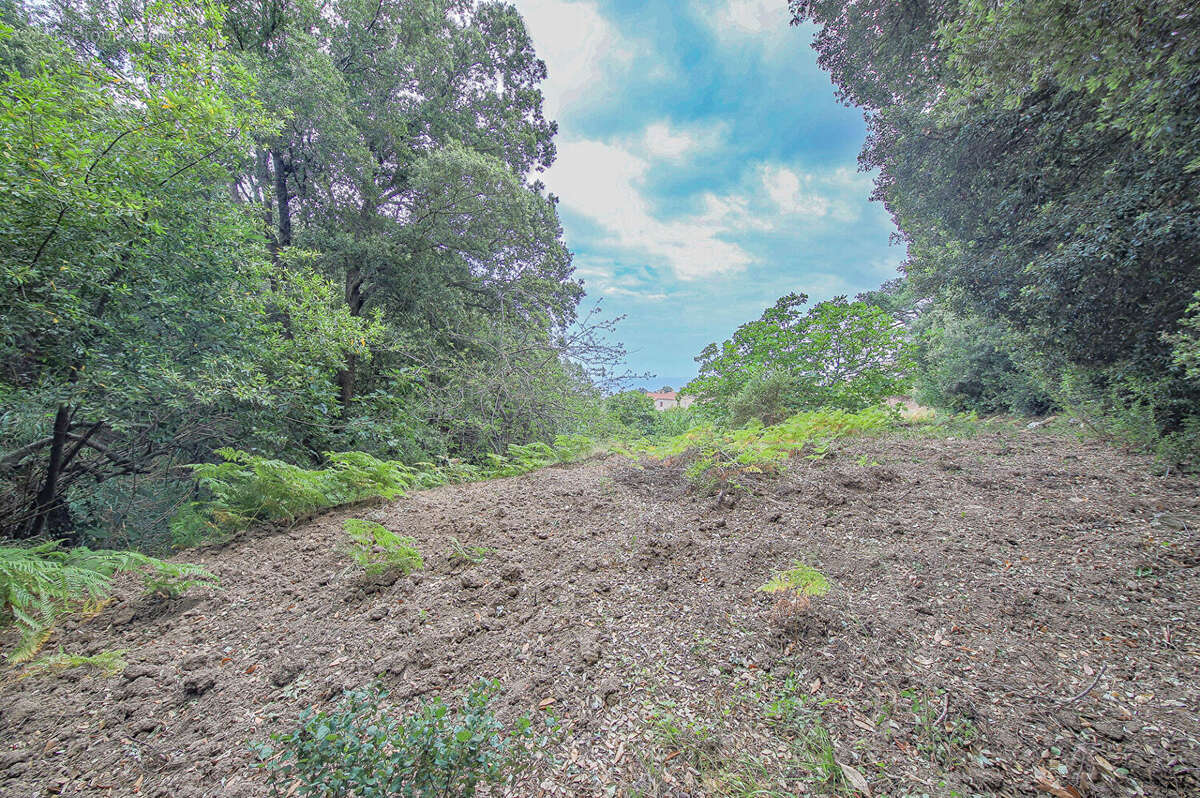 Terrain à BASTIA