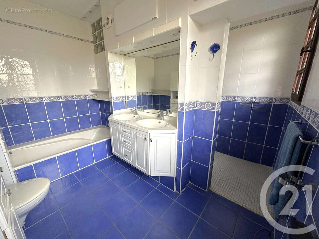Maison 248 m² à Colomiers  - photo 8