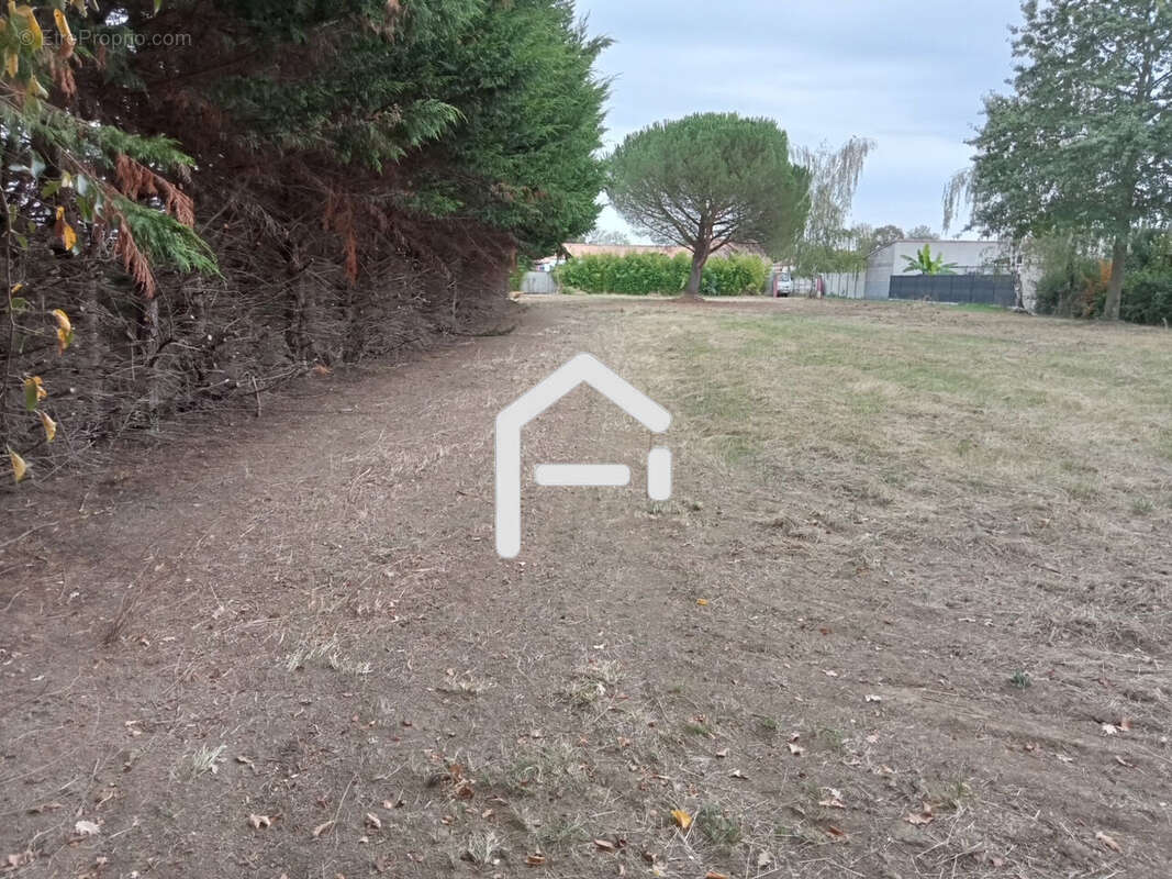 Terrain 2480 m² à Moutiers-Sur-Le-Lay  - photo 6