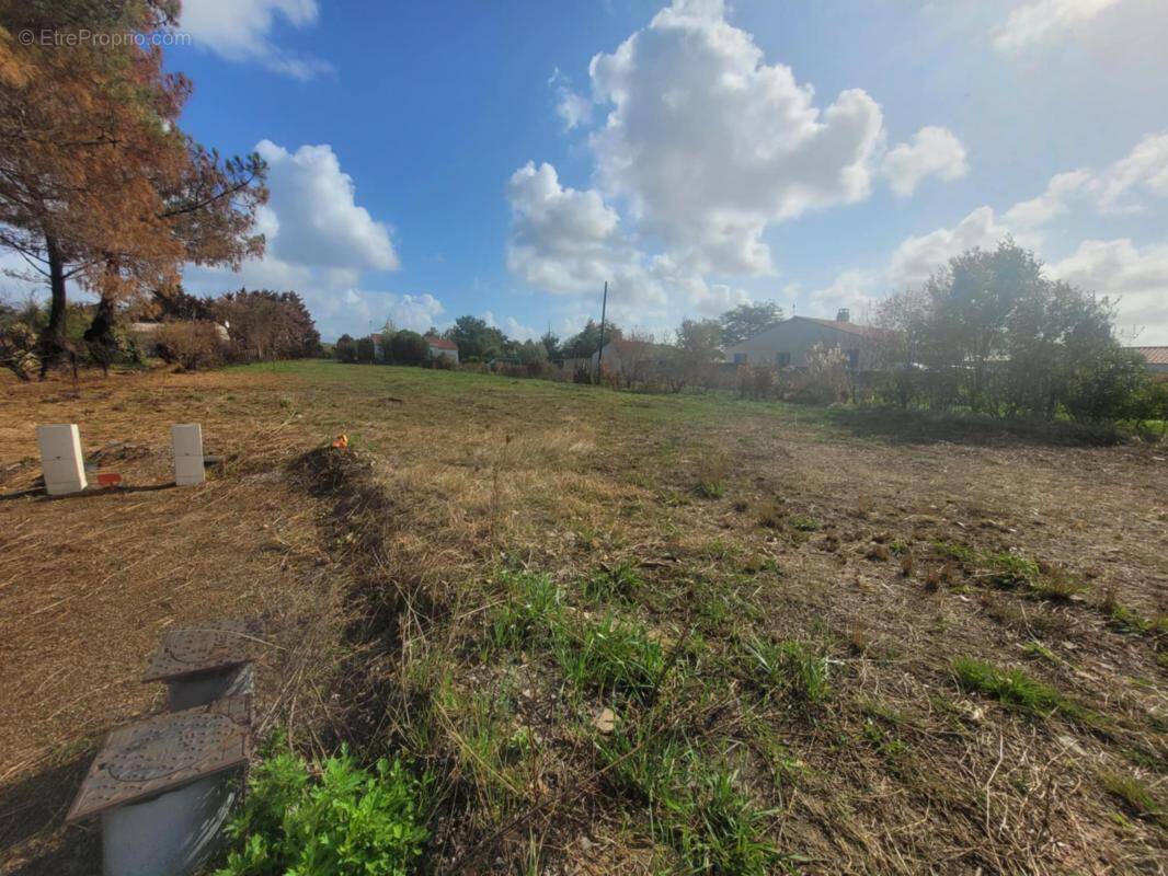 Terrain à L&#039;ILE-D&#039;OLONNE