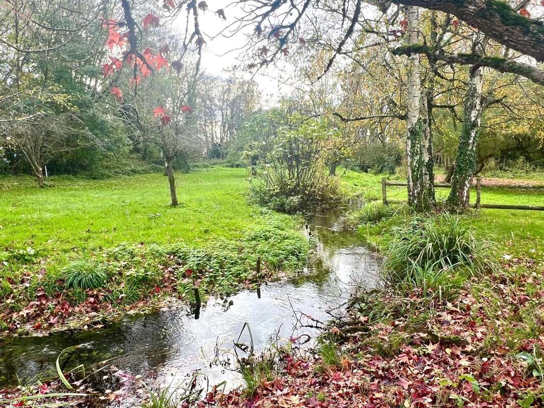 Photo 3 - Maison à SAINT-JEAN-D&#039;ANGELY