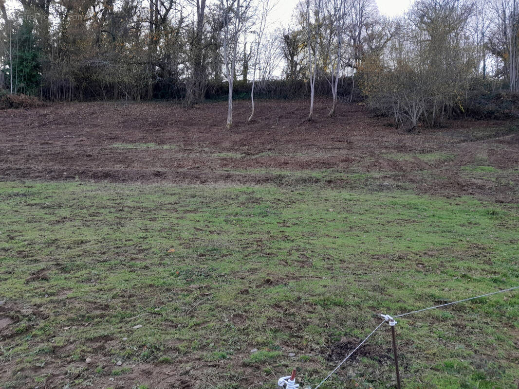 Terrain à POUEYFERRE