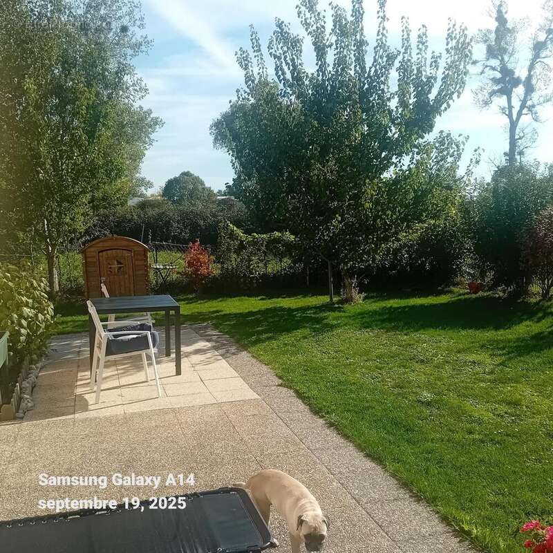 Photo 6 - Maison à TROUVILLE-SUR-MER