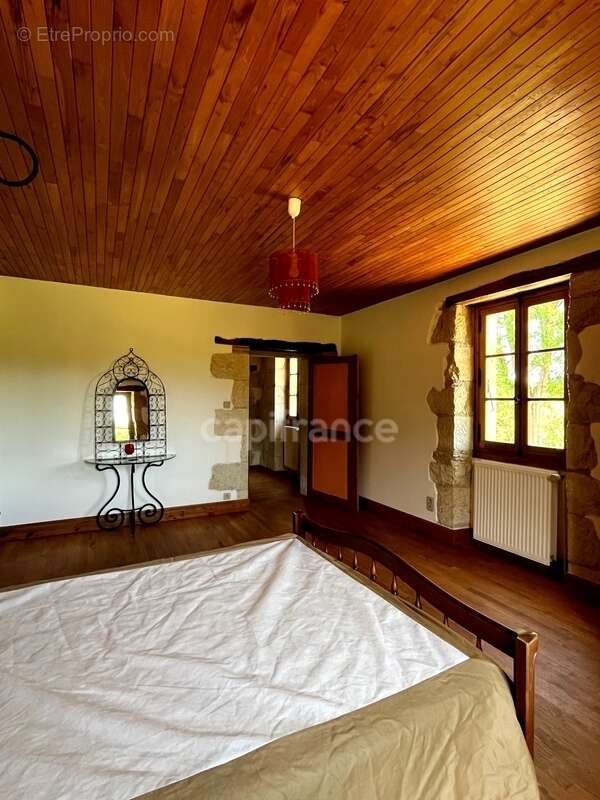 Jolie maison de campagne (320 m2, 9 pièces, 5 chambres) à vendre, sur terrain de 8500 m2, à dix minutes d'Auch (32) - photo 49