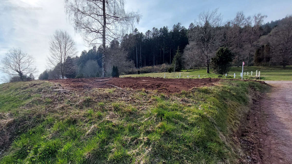 Terrain à BOURG-BRUCHE
