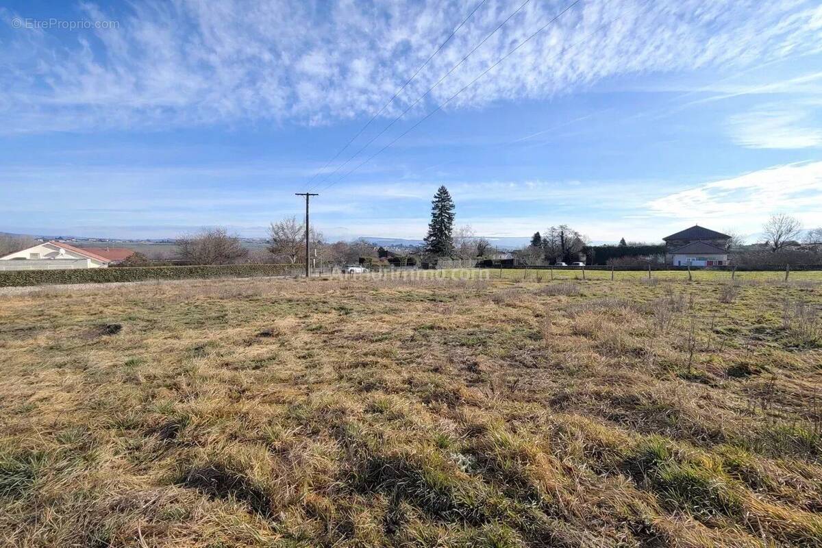 Terrain à CORBELIN