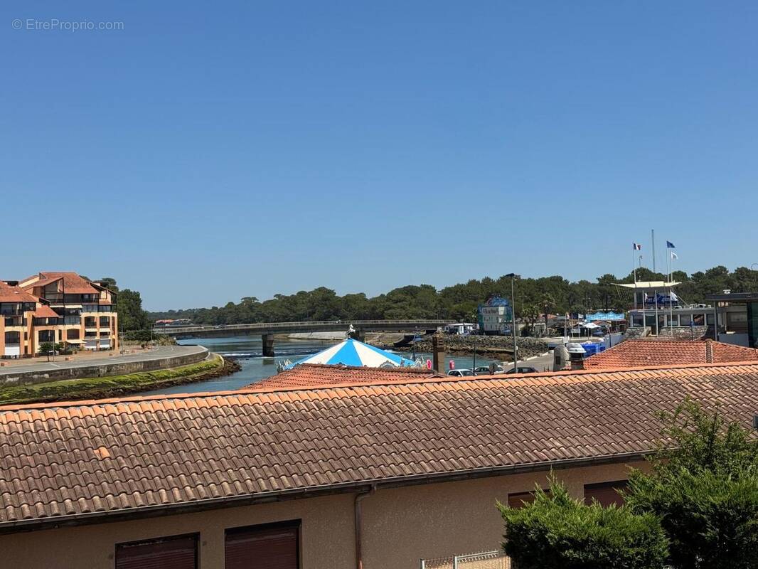 Photo 1 - Appartement à CAPBRETON