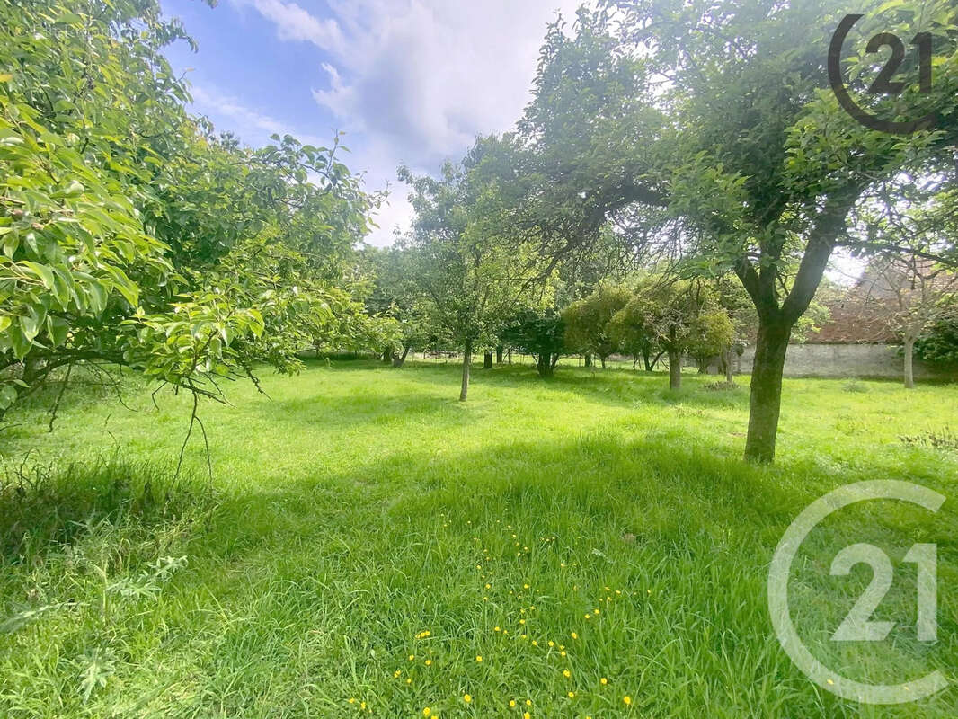 Terrain 2150 m² à Voulton  - photo 8