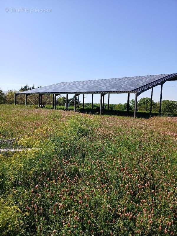 Terrain à SAINT-MARTIN-DE-RIBERAC