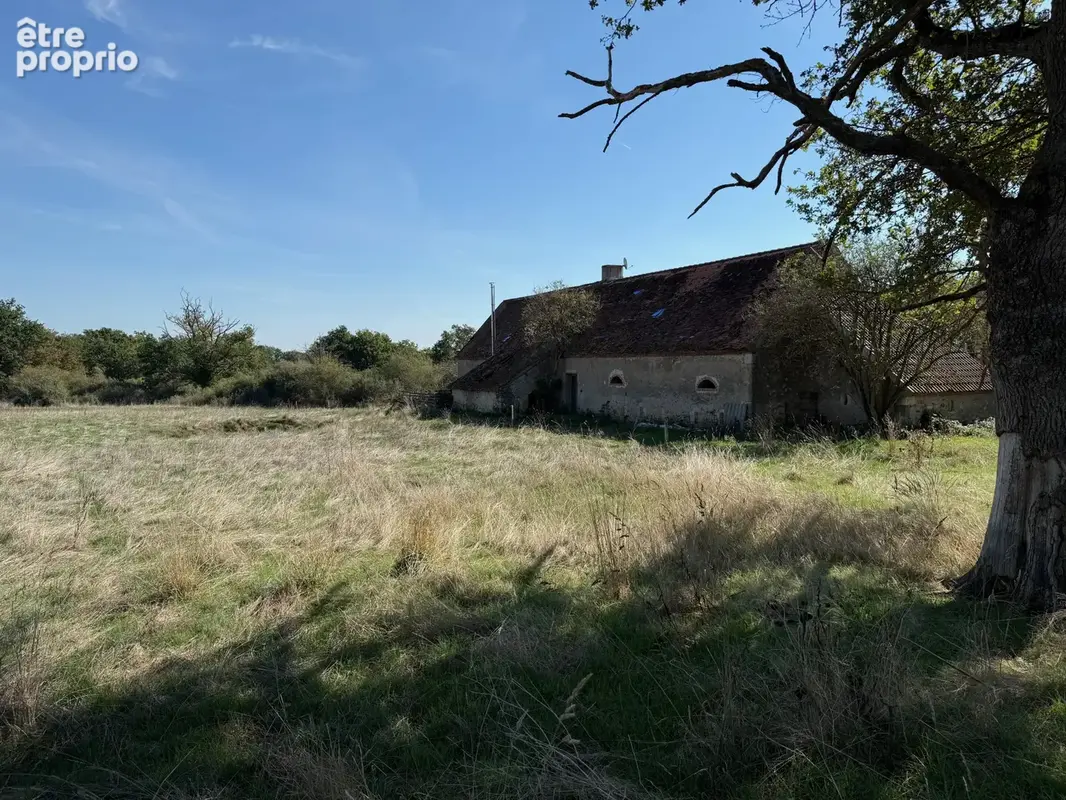 Auv 1210 : Magnifique projet : corps de ferme à rénover, plus de 28ha - photo 93