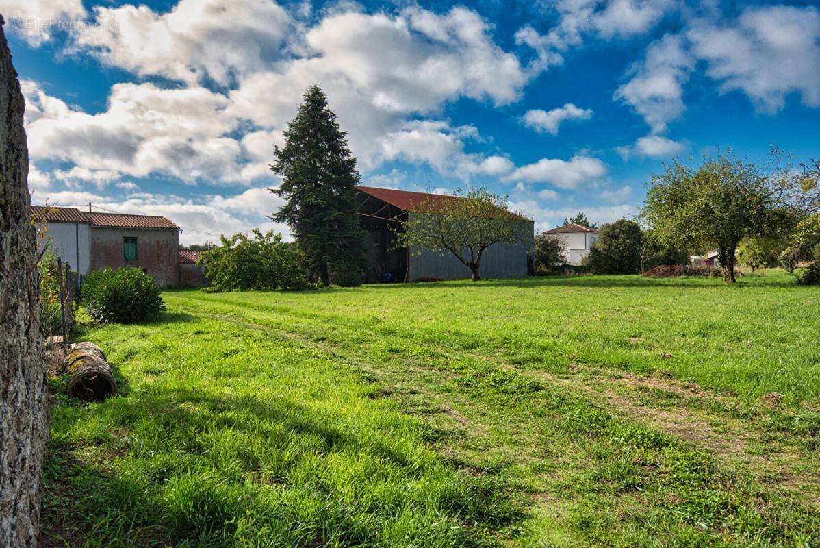 Maison à CHATEAU-THEBAUD
