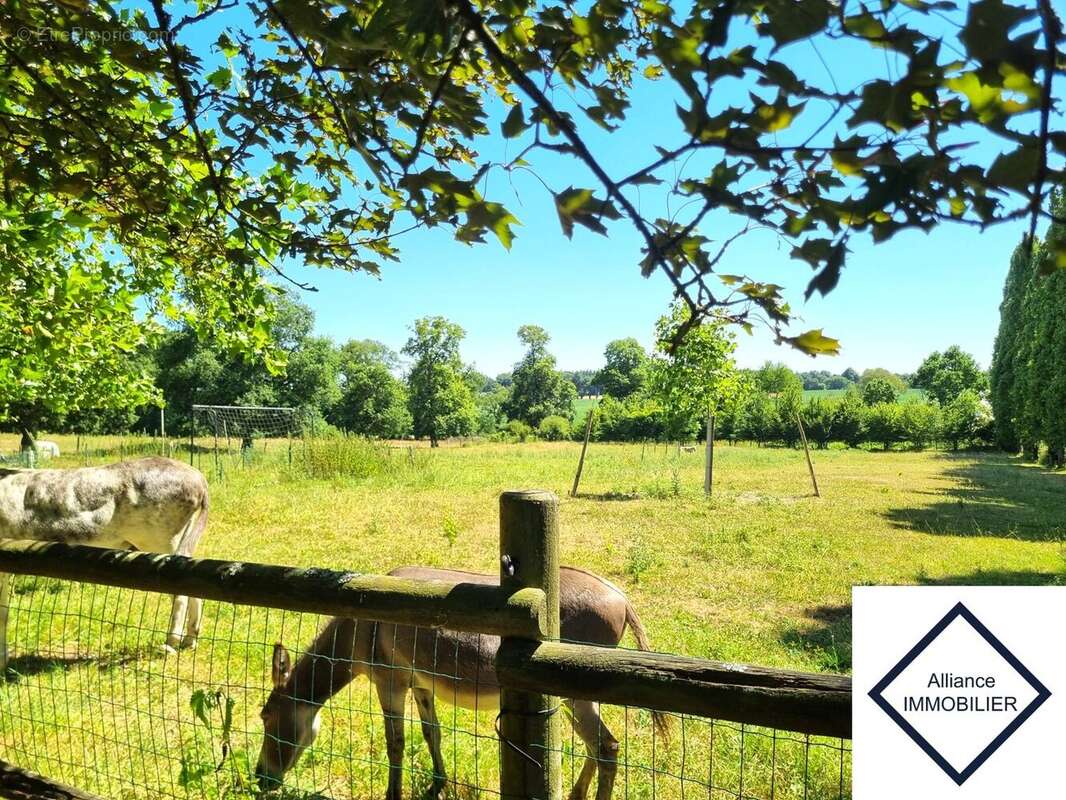Maison 297 m² à Montauban-De-Bretagne  - photo 2