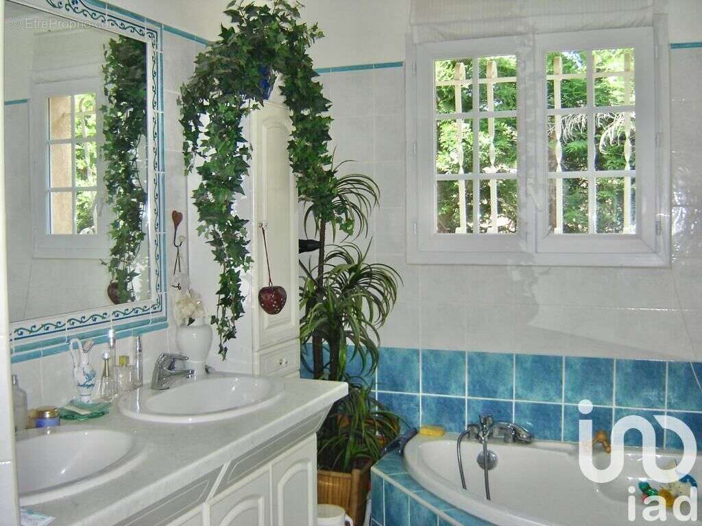 Photo 5 - Maison à SAINT-CLAR-DE-RIVIERE