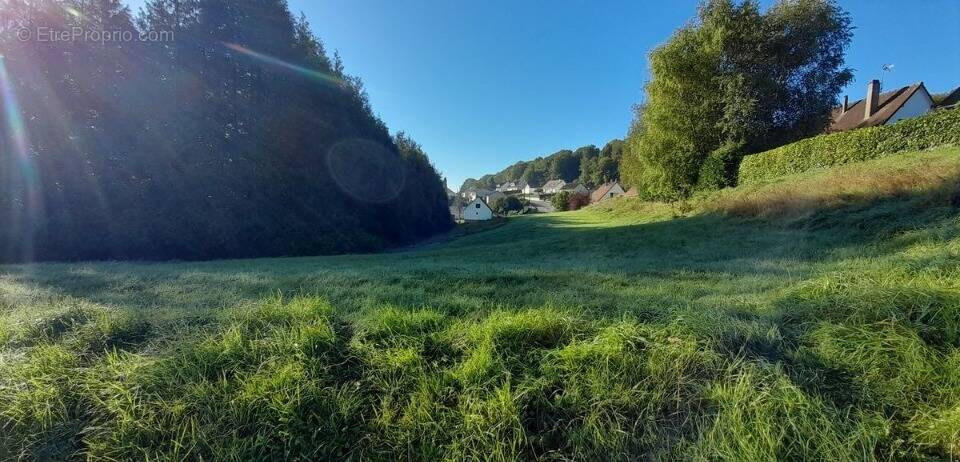 Terrain à AUMALE