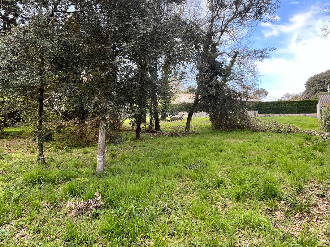 Terrain à MESCHERS-SUR-GIRONDE