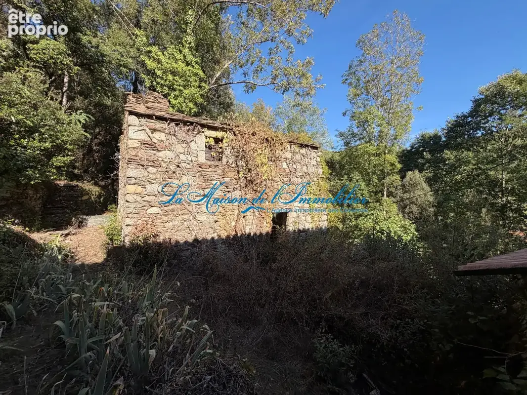 GENOLHAC, mas en pierres de caractère 3 P2/P3, atelier, bergerie, clède, ruines, sur 8 hectares de terrain bor - photo 14
