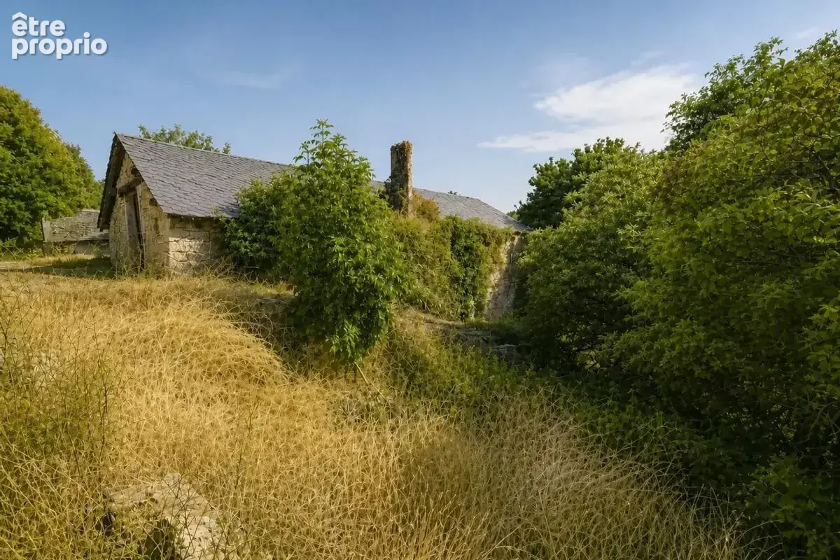Maison de 11 pièces de 185 m² + 335 m2 de dépendance à La Tieule - photo 7