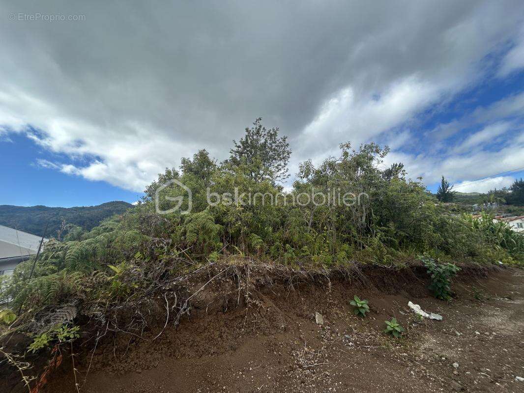 Parcelle de terrain constructible de 920 m2 - photo 3