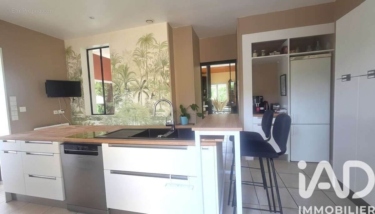 Photo 2 - Maison à PECHBONNIEU