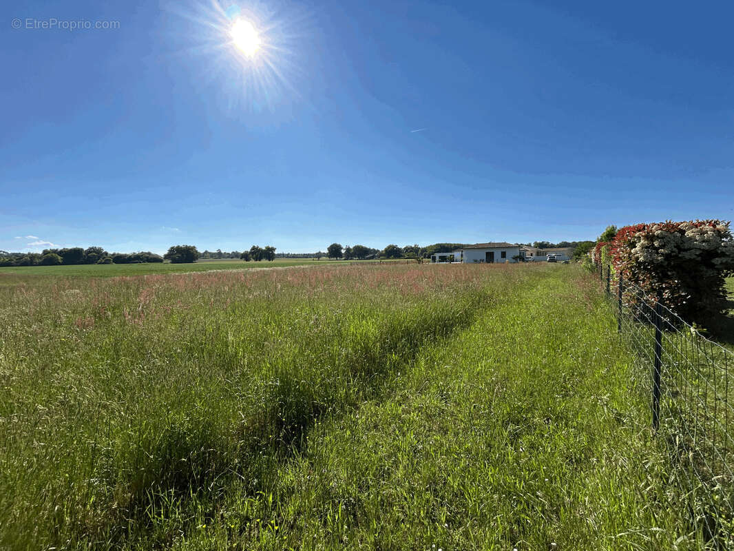 Terrain à PUJO-LE-PLAN