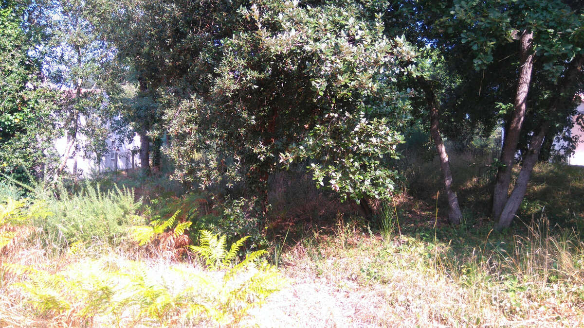 Terrain à batir de 850m2 - quartier calme - les mathes - la palmyre - photo 2