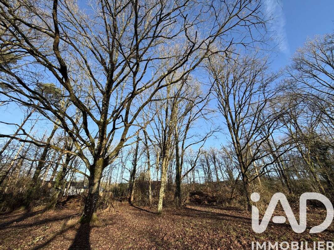 Photo 7 - Terrain à NANCAY