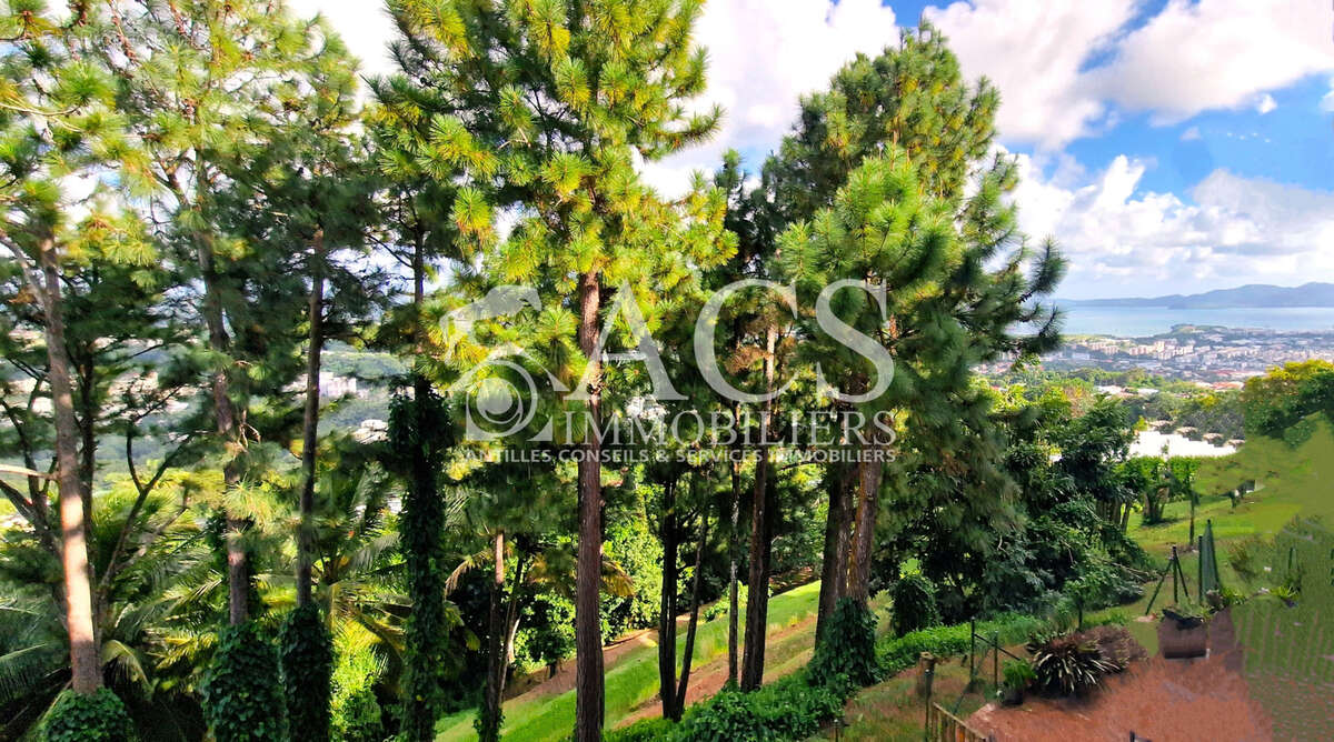 Appartement à FORT-DE-FRANCE