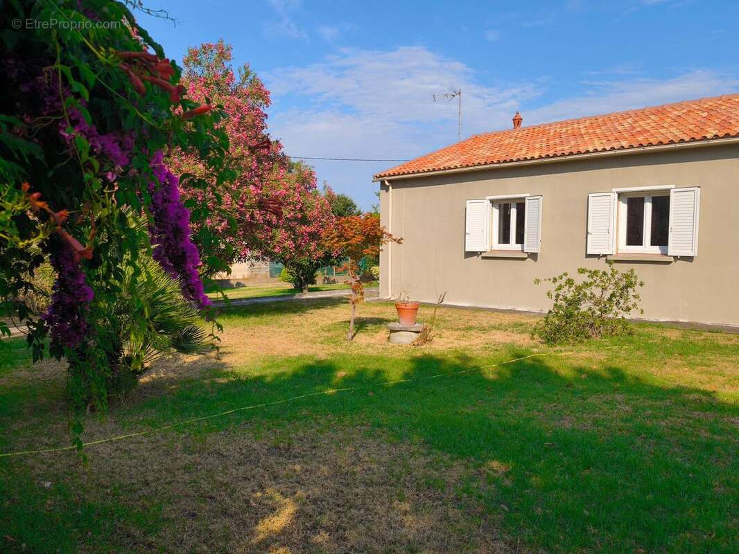 Photo 9 - Maison à BORGO