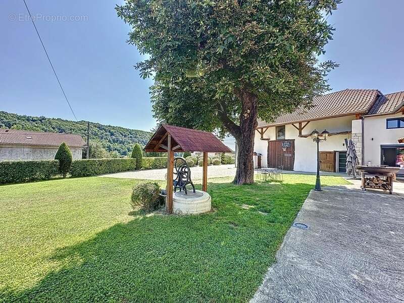 Maison à vendre 10 pièces MONTCARRA (38) - photo 3