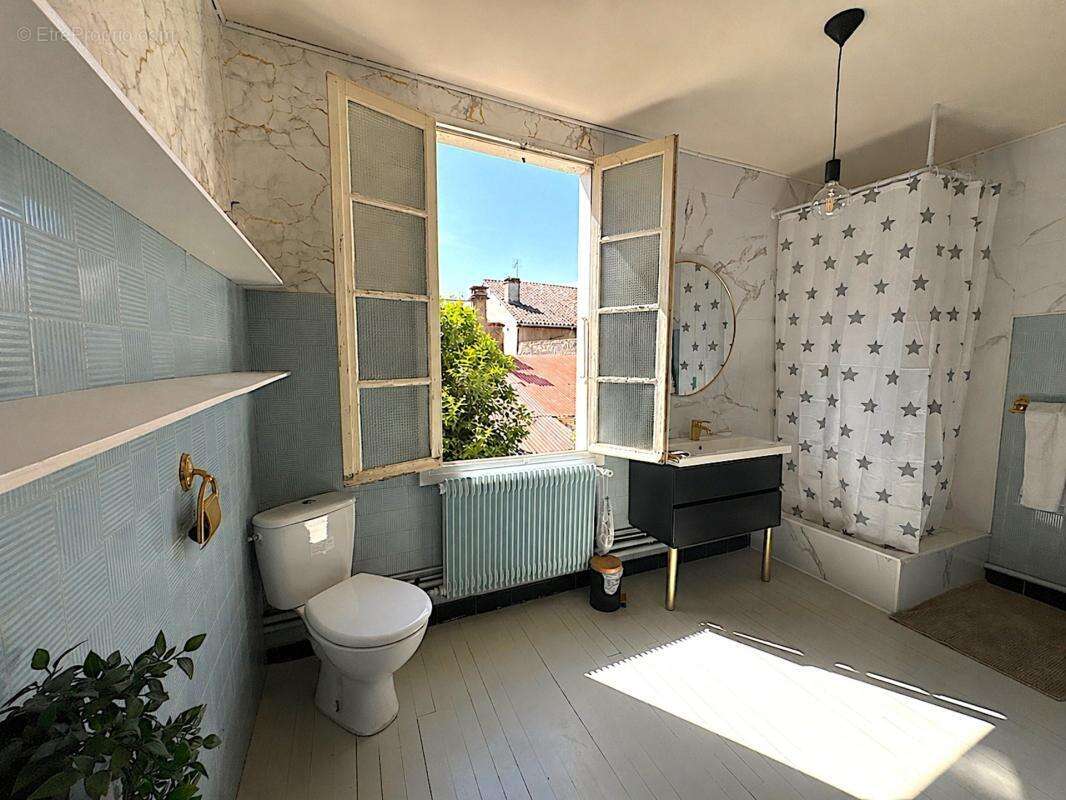 Maison à vendre 10 pièces 334M2 MIRANDE (32) - photo 22