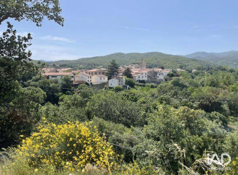 Photo 1 - Terrain à MAUREILLAS-LAS-ILLAS