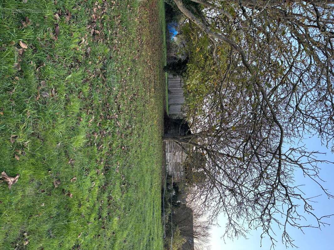 Photo 4 - Terrain à BRISSAC-QUINCE