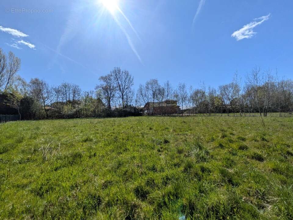 Terrain 1370 m² à Rieumes  - photo 2