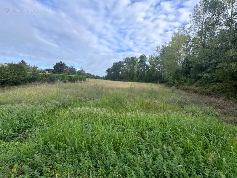 Terrain constructible  ESTILLAC (47) - photo 4