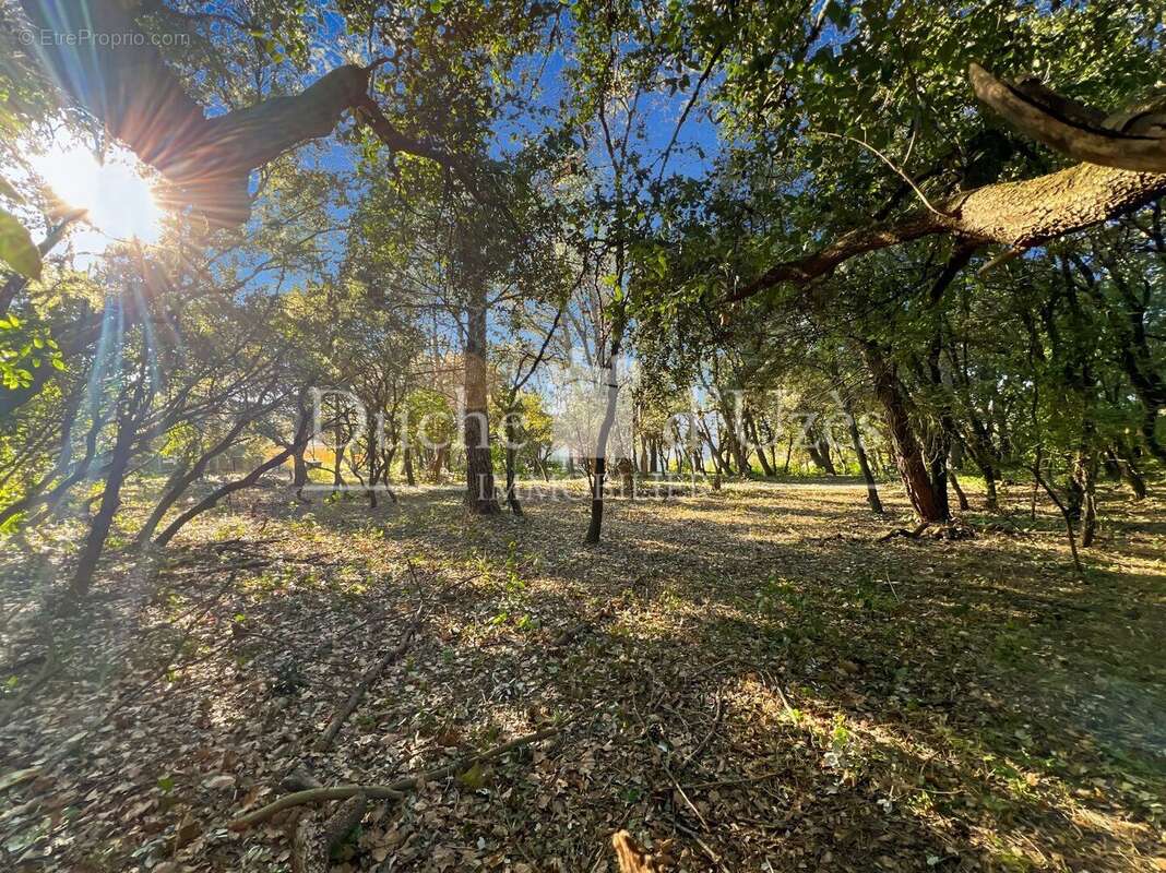 Photo 2 - Terrain à UZES