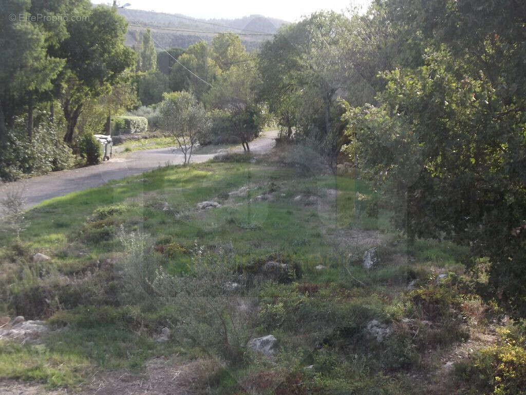 Terrain à MONTFORT-SUR-ARGENS