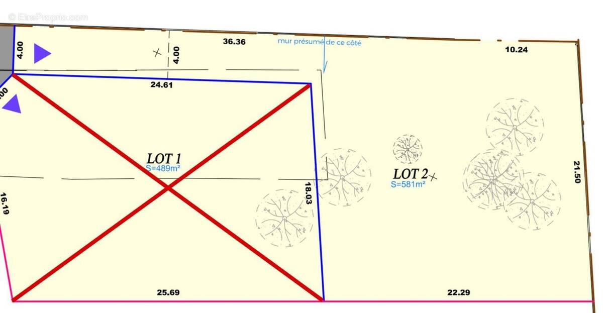 Terrain à SAINT-ROMAIN-DE-JALIONAS